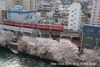 去年の桜(1).jpg